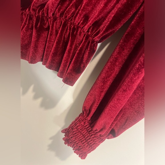 Boohoo Velvet Top/Turtleneck with the sweetest details! - Picture 3 of 5